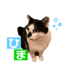 うしくんです（個別スタンプ：5）