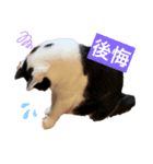 うしくんです（個別スタンプ：6）