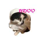 うしくんです（個別スタンプ：7）