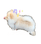 小木ピノ（個別スタンプ：5）