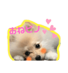 小木ピノ（個別スタンプ：12）