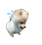 小木ピノ（個別スタンプ：14）