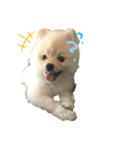 小木ピノ（個別スタンプ：18）