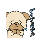 モコモコ犬 モコちゃんスタンプ（個別スタンプ：4）