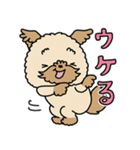 モコモコ犬 モコちゃんスタンプ（個別スタンプ：11）