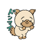 モコモコ犬 モコちゃんスタンプ（個別スタンプ：13）