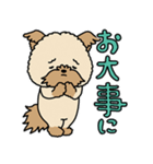 モコモコ犬 モコちゃんスタンプ（個別スタンプ：14）