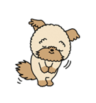 モコモコ犬 モコちゃんスタンプ（個別スタンプ：16）