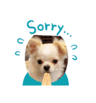 公式うにんぼ（個別スタンプ：10）