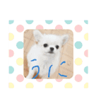 公式うにんぼ（個別スタンプ：11）