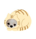 公式うにんぼ（個別スタンプ：16）