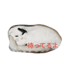 第2段 もかジジそら（個別スタンプ：1）