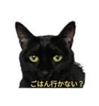第2段 もかジジそら（個別スタンプ：2）