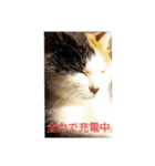 第2段 もかジジそら（個別スタンプ：3）