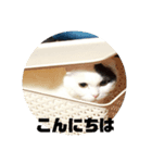 第2段 もかジジそら（個別スタンプ：5）