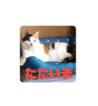 第2段 もかジジそら（個別スタンプ：7）
