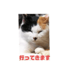 第2段 もかジジそら（個別スタンプ：8）