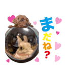 愉快な従兄弟たちだよ（個別スタンプ：16）