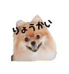 ゆずと言います（個別スタンプ：1）