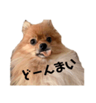 ゆずと言います（個別スタンプ：4）