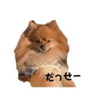 ゆずと言います（個別スタンプ：7）
