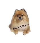 ゆずと言います（個別スタンプ：9）