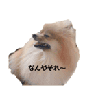 ゆずと言います（個別スタンプ：12）