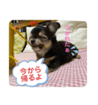 リクくんスタンプ01（個別スタンプ：3）