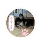 リクくんスタンプ01（個別スタンプ：8）