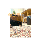 テッショウの挨拶（個別スタンプ：6）