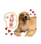 わんこの日常会話編 Part2（個別スタンプ：9）