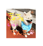 なるとのスタンプ第二弾！！（個別スタンプ：1）