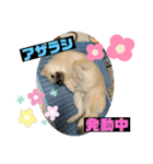 なるとのスタンプ第二弾！！（個別スタンプ：4）