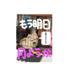 なるとのスタンプ第二弾！！（個別スタンプ：11）