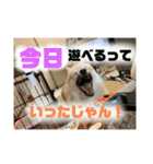 なるとのスタンプ第二弾！！（個別スタンプ：12）