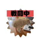 なるとのスタンプ第二弾！！（個別スタンプ：13）