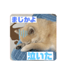 なるとのスタンプ第二弾！！（個別スタンプ：15）