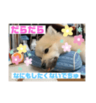 なるとのスタンプ第二弾！！（個別スタンプ：16）