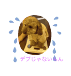 ばーむぅーさん（個別スタンプ：5）