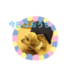 ばーむぅーさん（個別スタンプ：7）