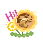 ばーむぅーさん（個別スタンプ：8）