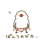 ぱんつ文鳥（個別スタンプ：7）