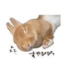 ゆきちとふみ様（個別スタンプ：3）