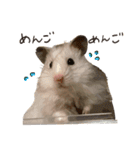 ゆきちとふみ様（個別スタンプ：8）