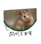 ゆきちとふみ様（個別スタンプ：9）