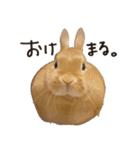 ゆきちとふみ様（個別スタンプ：10）