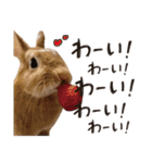 ゆきちとふみ様（個別スタンプ：11）
