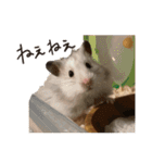 ゆきちとふみ様（個別スタンプ：12）