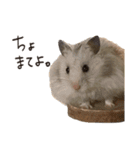 ゆきちとふみ様（個別スタンプ：13）