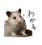 ゆきちとふみ様（個別スタンプ：14）